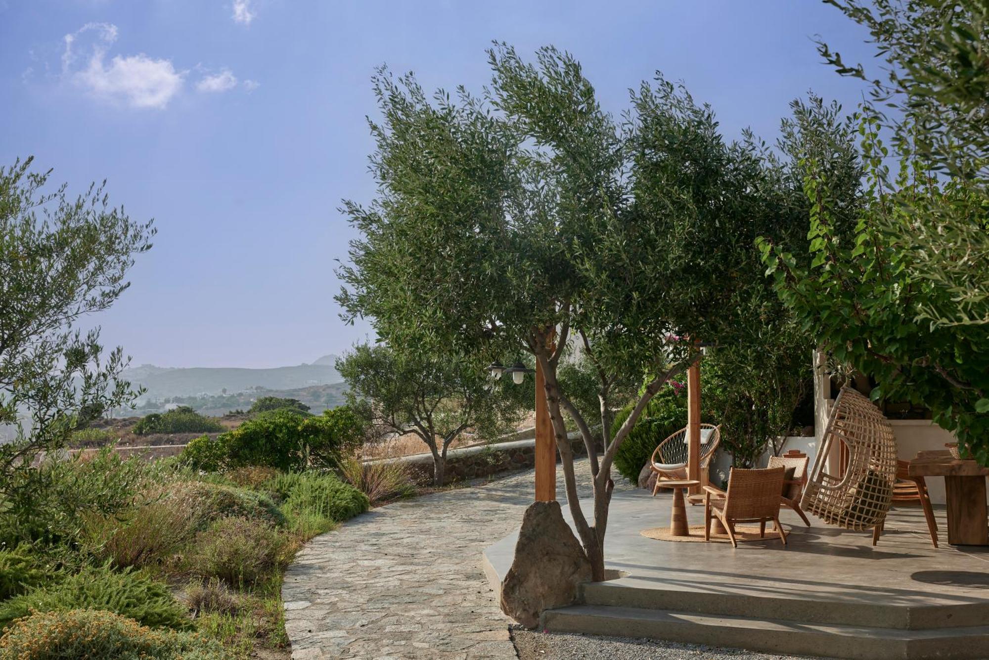 Iliana Olive Branch Apartamento Adamantas  Exterior foto