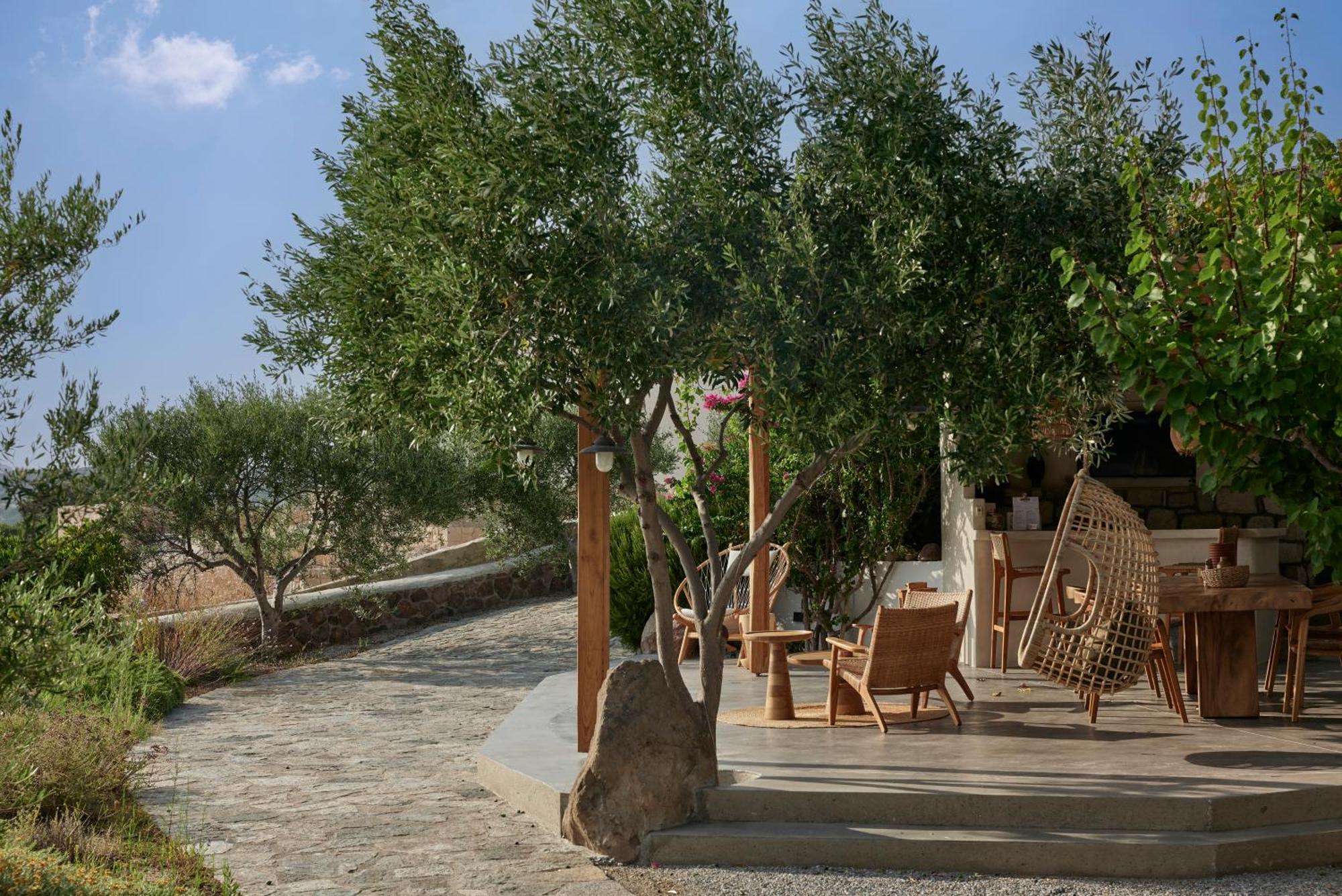 Iliana Olive Branch Apartamento Adamantas  Exterior foto