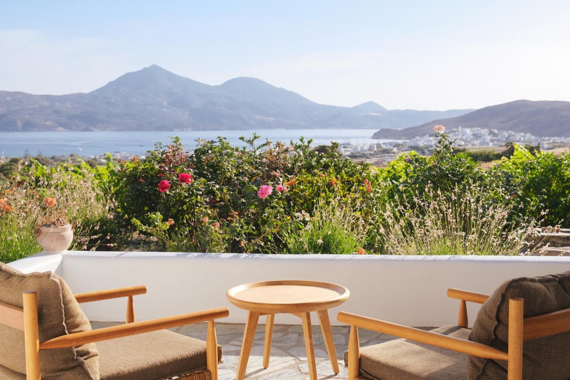 Iliana Olive Branch Apartamento Adamantas  Exterior foto