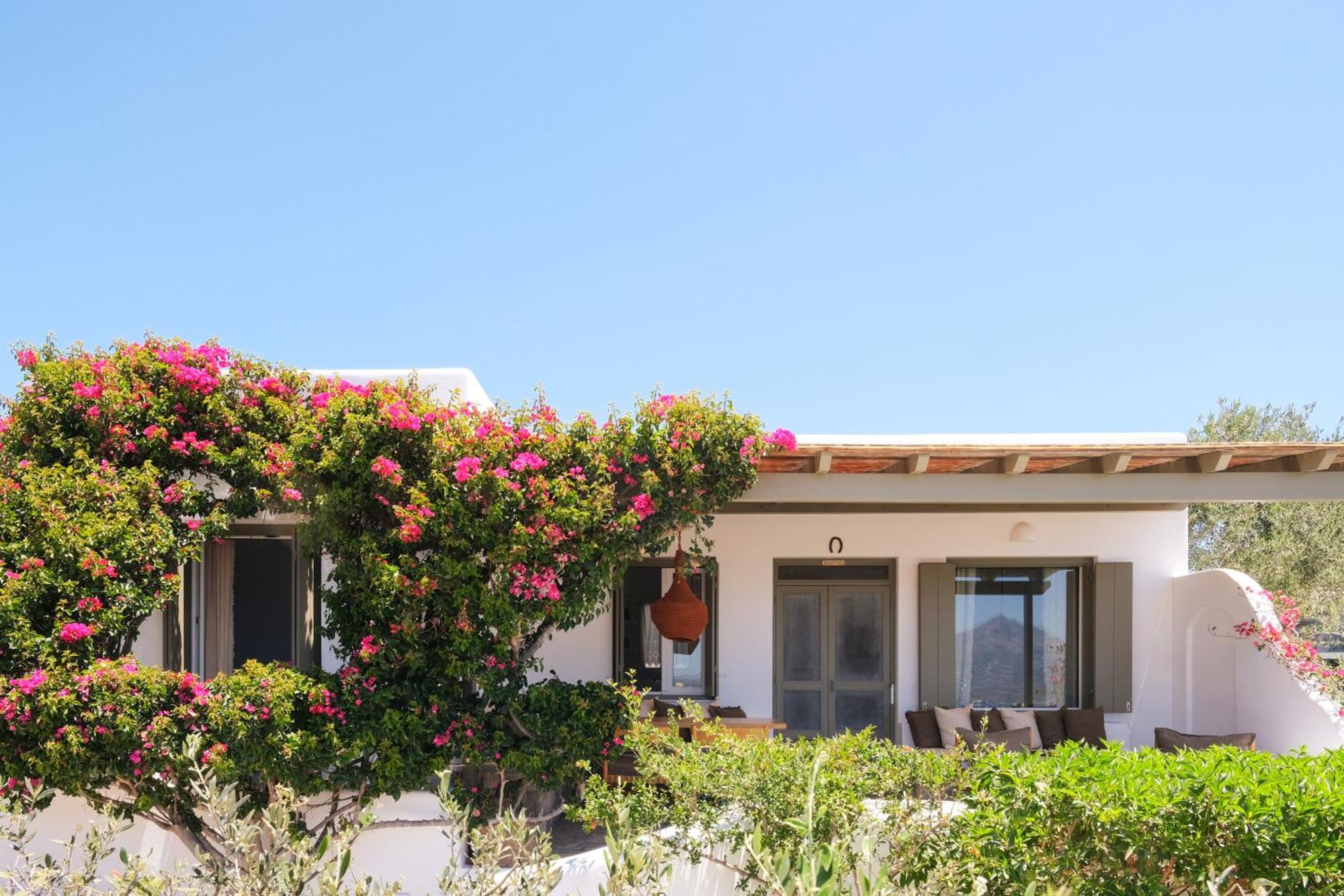 Iliana Olive Branch Apartamento Adamantas  Quarto foto