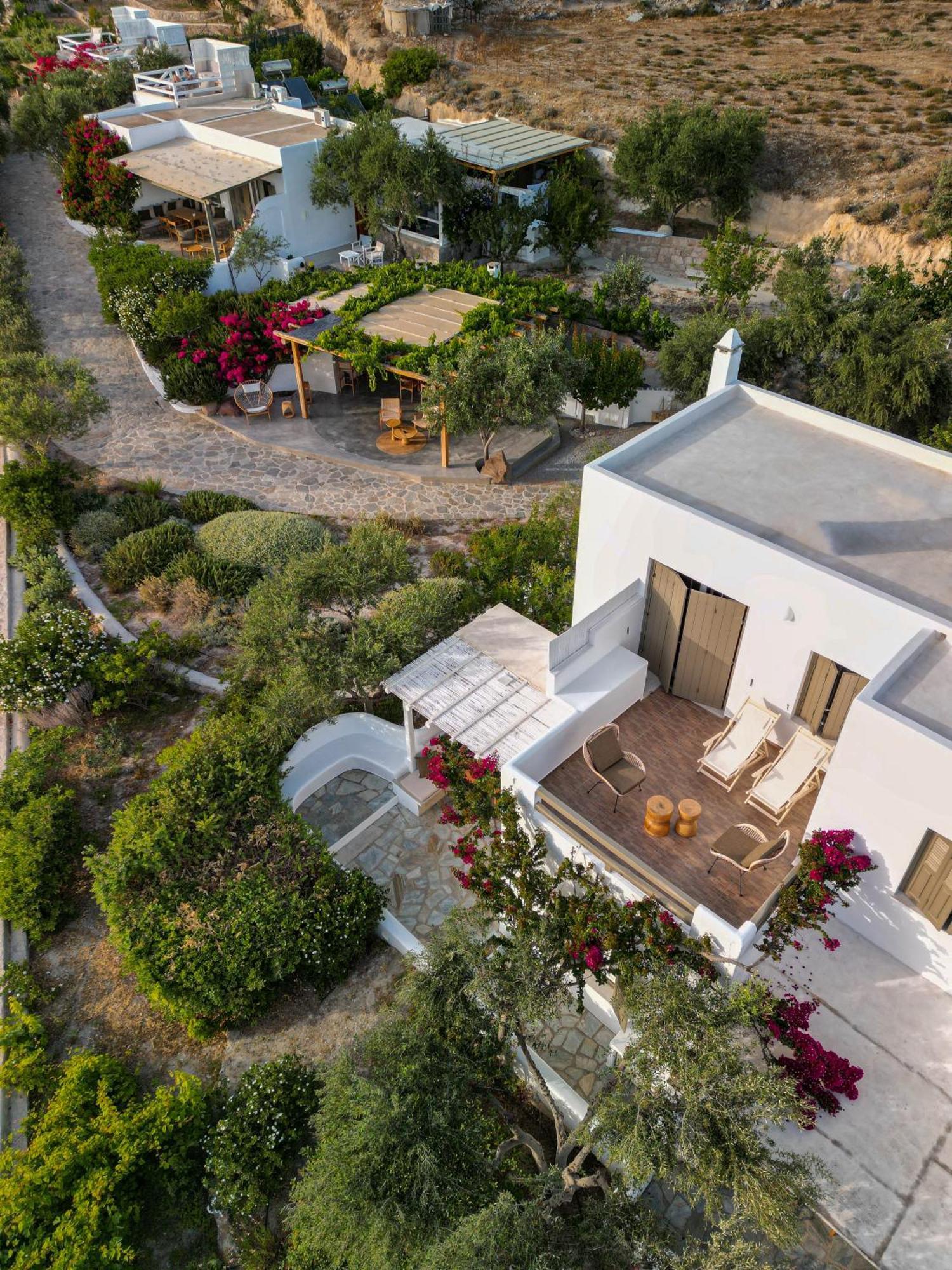 Iliana Olive Branch Apartamento Adamantas  Exterior foto